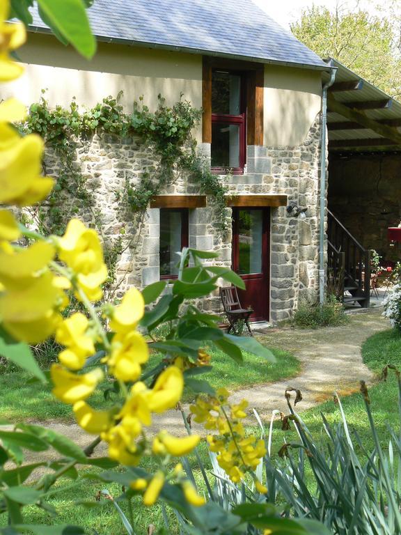 Chambres D'Hotes Du Vault Picot La Chapelle-aux-Filzméens Eksteriør billede