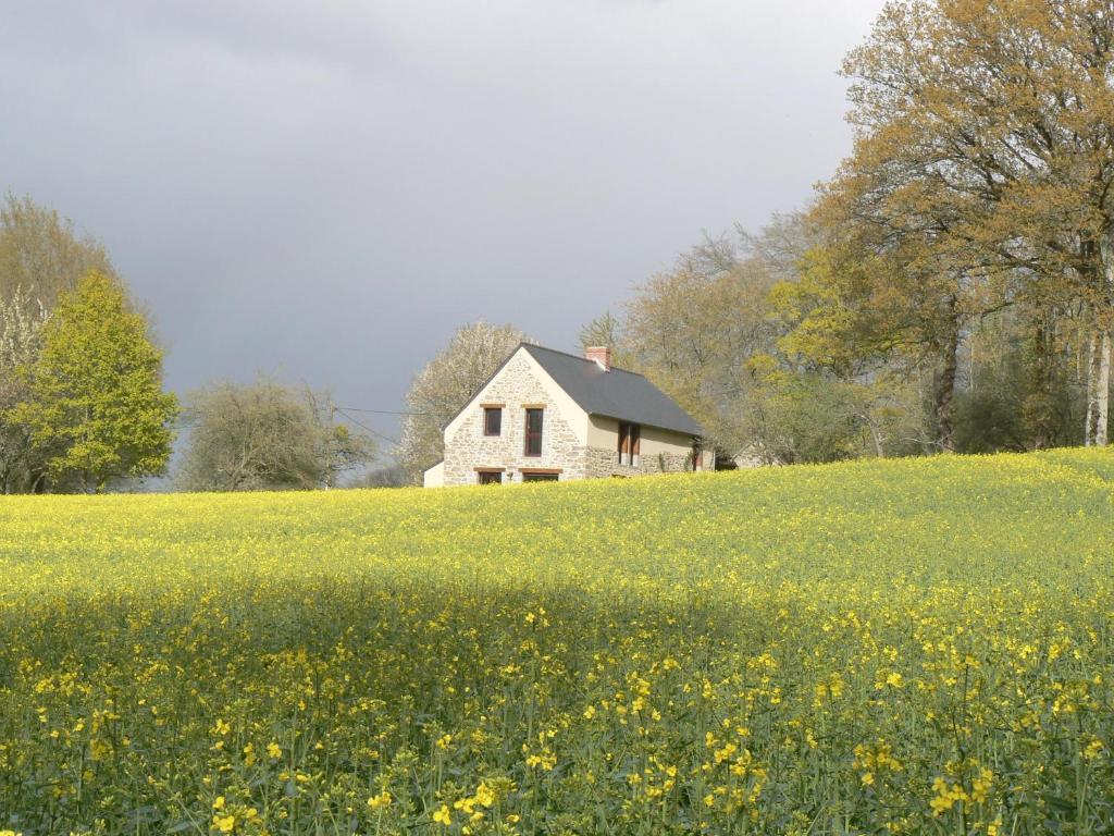 Chambres D'Hotes Du Vault Picot La Chapelle-aux-Filzméens Eksteriør billede